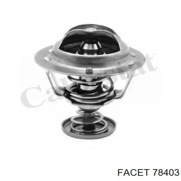 Купити 629576J Vernet Термостат в корпусі