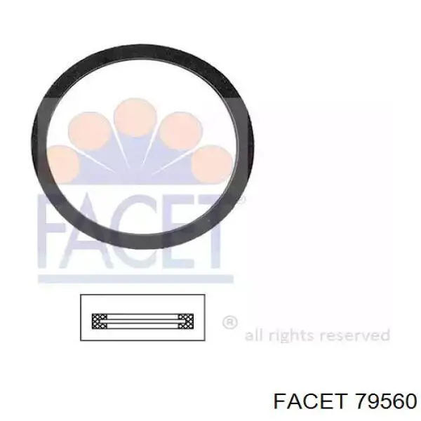 Купити 79560 Facet Прокладка термостата