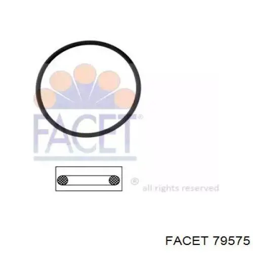  Facet 79575 ціна, від 4.37 USD