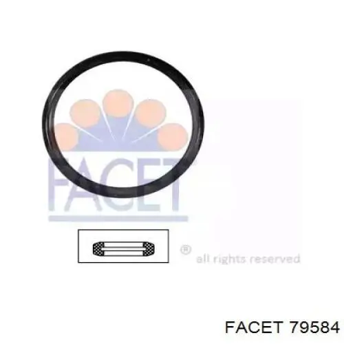 Купити 79584 Facet Прокладка термостата