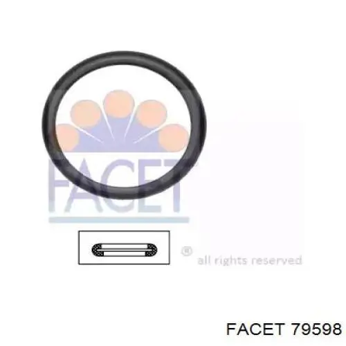 Купити 79598 Facet Прокладка термостата