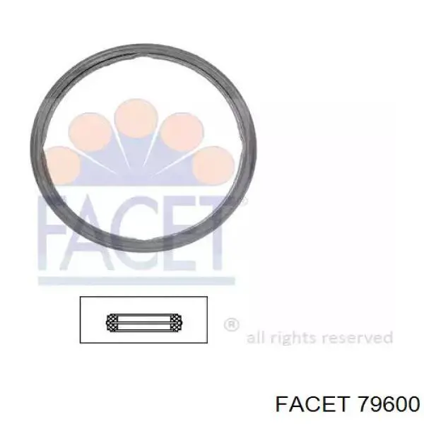 Купити 79600 Facet Прокладка термостата
