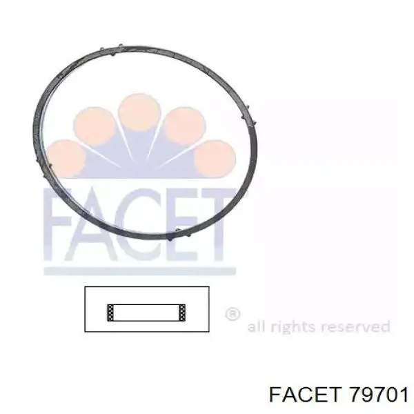 Купити 79701 Facet Прокладка корпусу термостата
