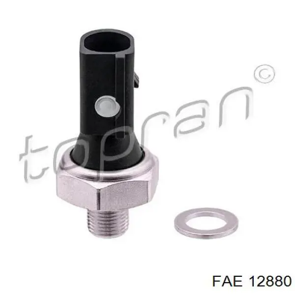 Манометри (показник тиску масла) FAE 12880 ціна, від 3.98 USD