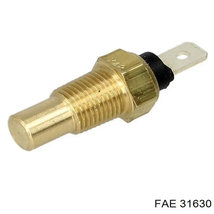 Купити 31630 FAE Датчик температури охолоджуючої рідини