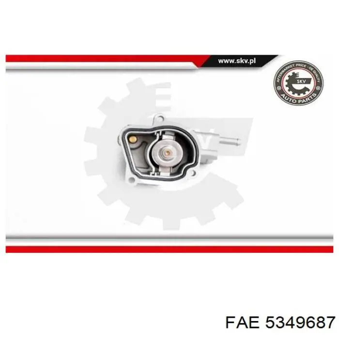 Купити 5349687 FAE Термостат в корпусі
