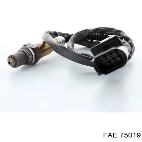 258007059 Bosch 