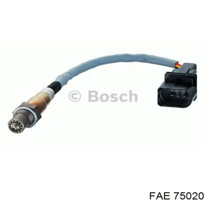 Купити 258007142 Bosch Лямбда-зонд, датчик кисню до каталізатора, лівий