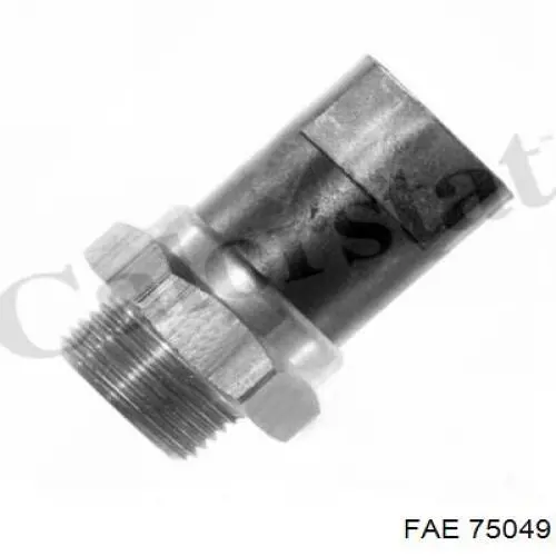 75049 FAE Датчик кисню