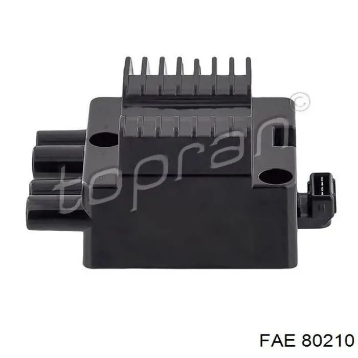 Купити 80210 FAE Котушка запалювання