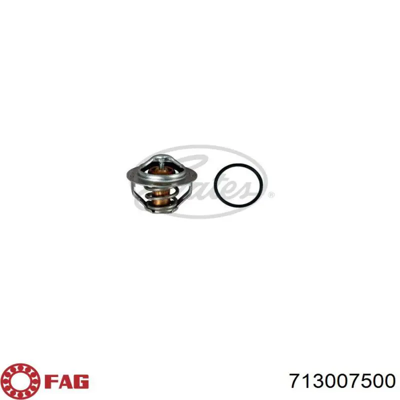 Купити 713007500 FAG Підшипник опорний амортизатора, переднього
