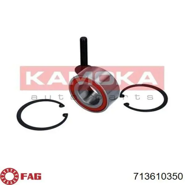 Купити 713610350 FAG Підшипник маточини передньої/задньої