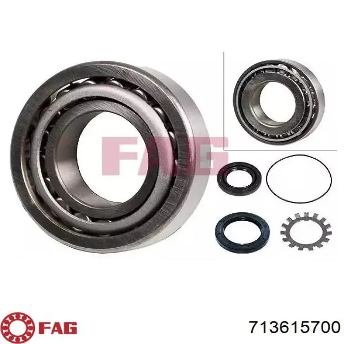 Купити 713615700 FAG Підшипник задньої ступиці