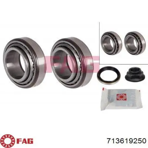Купити 713619250 FAG Підшипник задньої ступиці