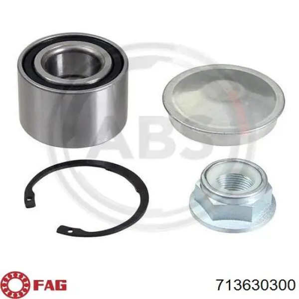 Купити 713630300 FAG Підшипник задньої ступиці