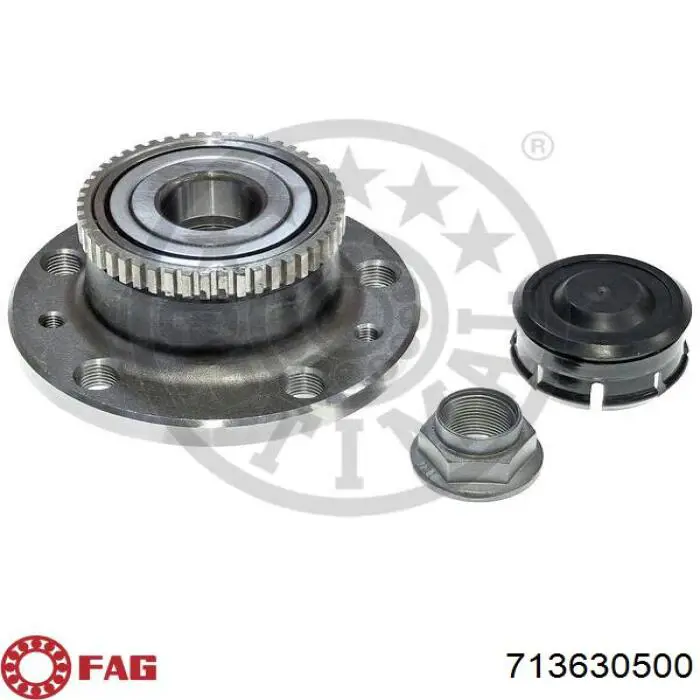 Підшипник задньої ступиці 6025171137 Renault (RVI)