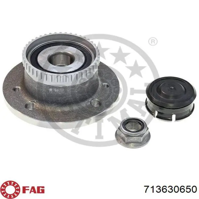 Задня маточина 8660001821 Renault (RVI)