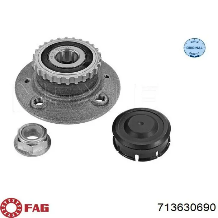 Маточина заднього колеса Renault (RVI) 7701205499