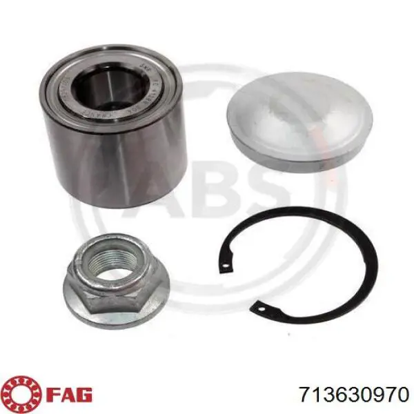 Купити 713630970 FAG Підшипник задньої ступиці