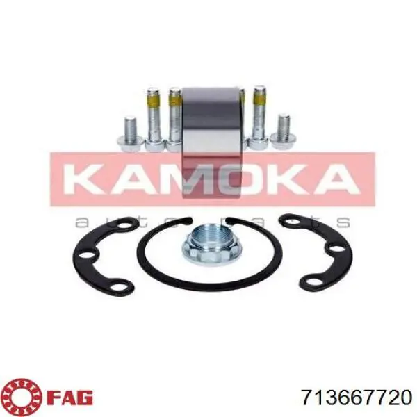 Підшипник задньої ступиці 7703066049 Renault (RVI)