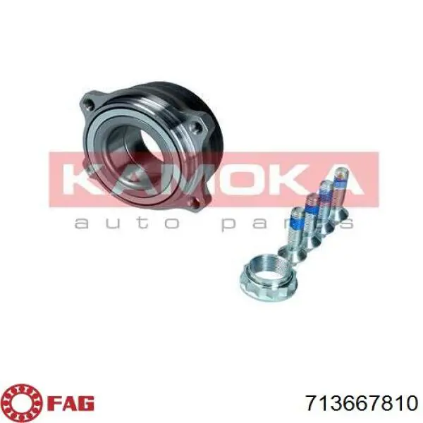 Задній підшипник FAG 713667810