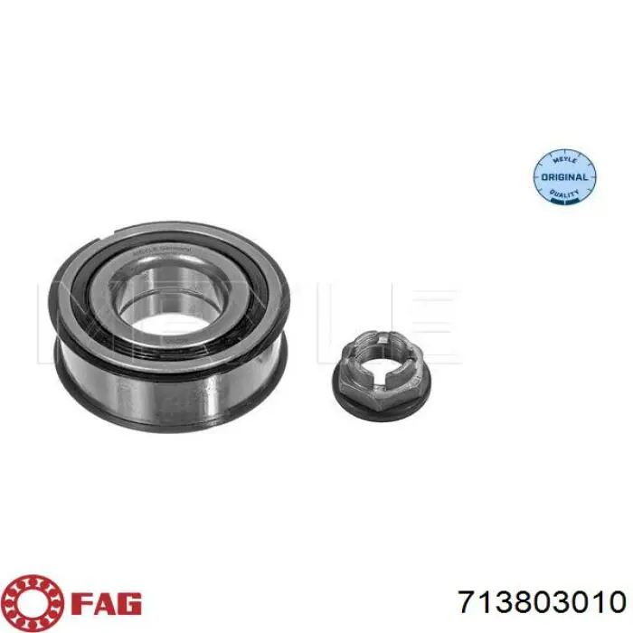 Підшипник ступиці 8660001822 Renault (RVI)