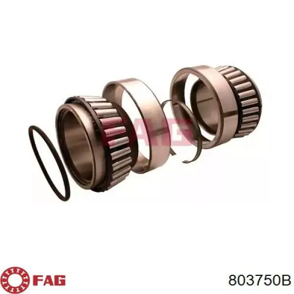 Купити F200004 Fersa Підшипник задньої ступиці