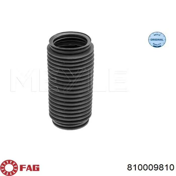 810009810 FAG Пильник стійки задньої