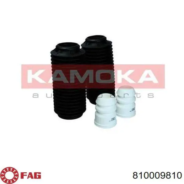 Чохол амортизатора заднього FAG 810009810 ціна, від 6.77 USD