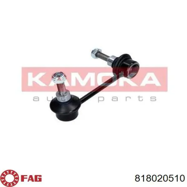 Купити 818020510 FAG Яйця стабілізатора переднього
