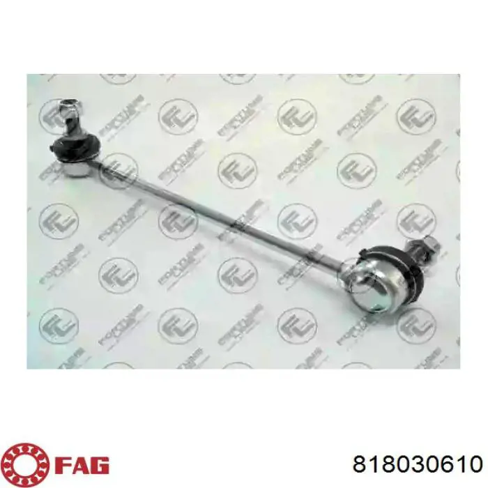 Яйця на стабілізаторі передні FAG 818030610