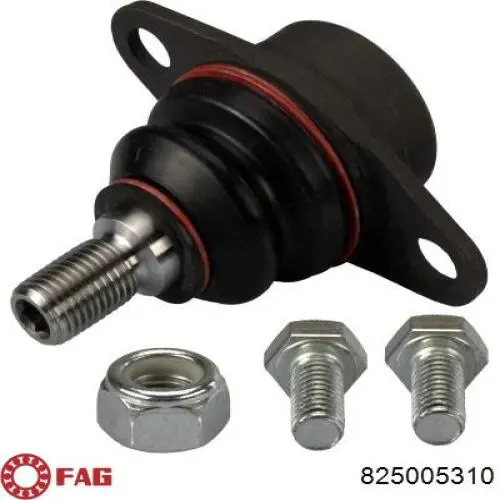 Купити 825005310 FAG Кульова опора, нижня