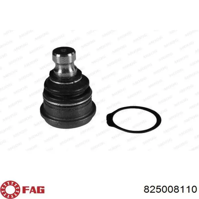 Купити 825008110 FAG Кульова опора, нижня