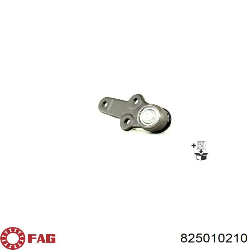 Кульова опора, нижня FAG 825010210 ціна, від 10.38 USD
