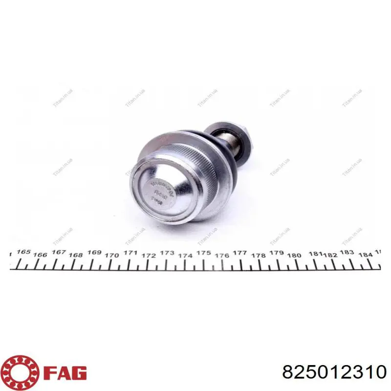 Кульова опора, нижня FAG 825012310 ціна, від 13.66 USD