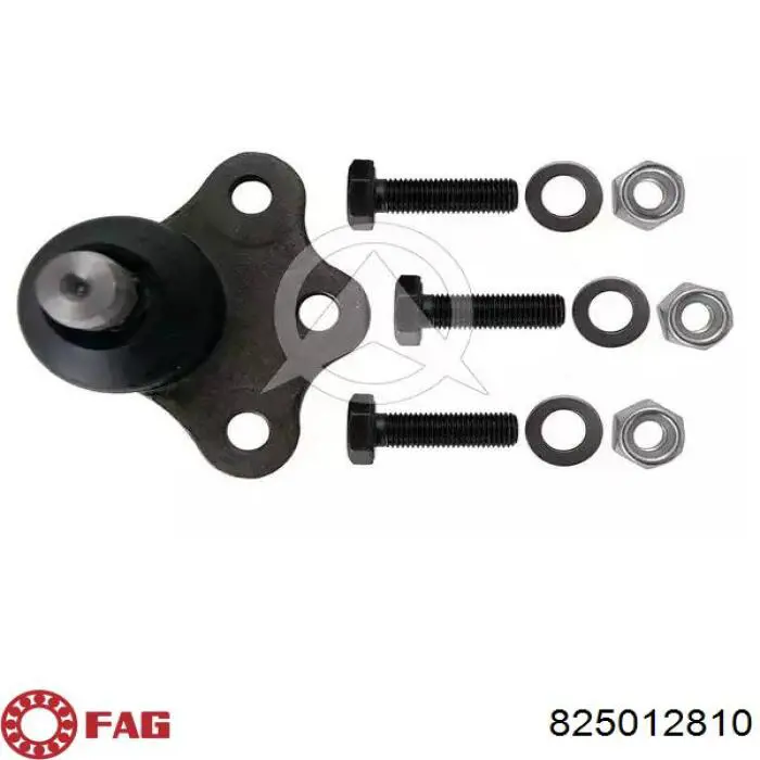 Кульова опора, нижня FAG 825012810 ціна, від 9.92 USD