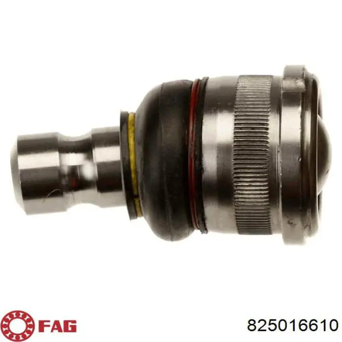 Кульова опора, нижня FAG 825016610 ціна, від 10.07 USD