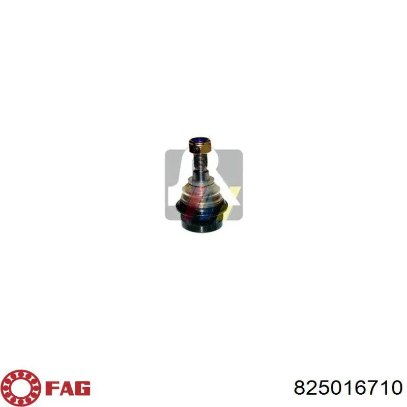 Кульова опора, верхня FAG 825016710 ціна, від 14.13 USD