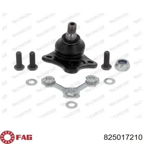 Кульова опора, нижня, ліва FAG 825017210 ціна, від 9.38 USD