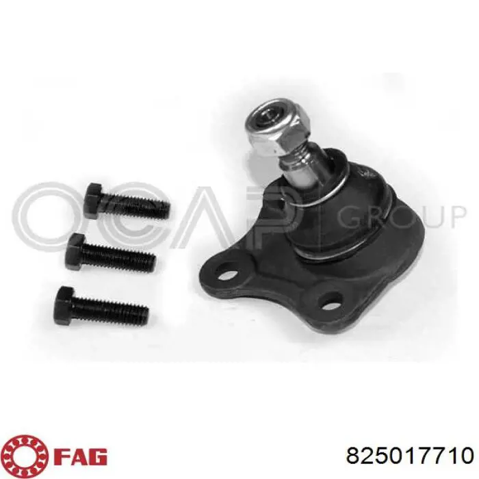Купити 825017710 FAG Кульова опора, нижня