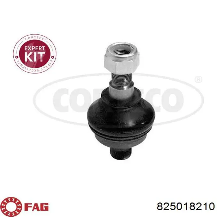 Купити 825018210 FAG Кульова опора, нижня