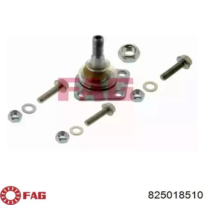 Кульова опора, нижня FAG 825018510 ціна, від 8.69 USD