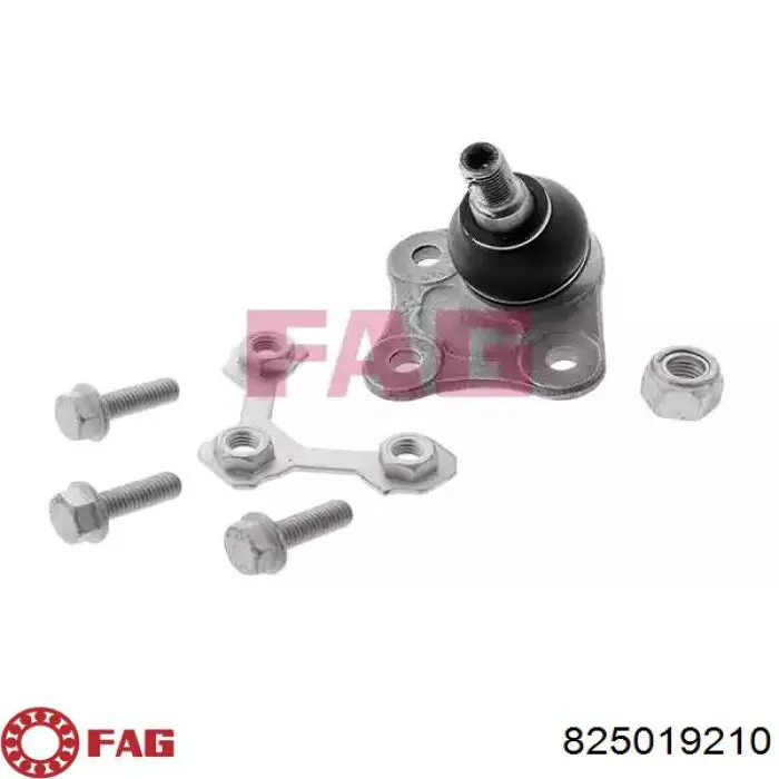 Купити 825019210 FAG Кульова опора, нижня