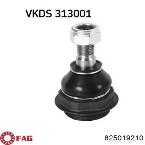 825019210 FAG Кульові на авто
