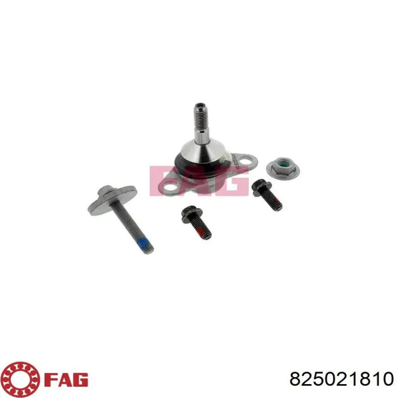 Кульова опора, нижня FAG 825021810 ціна, від 20.16 USD