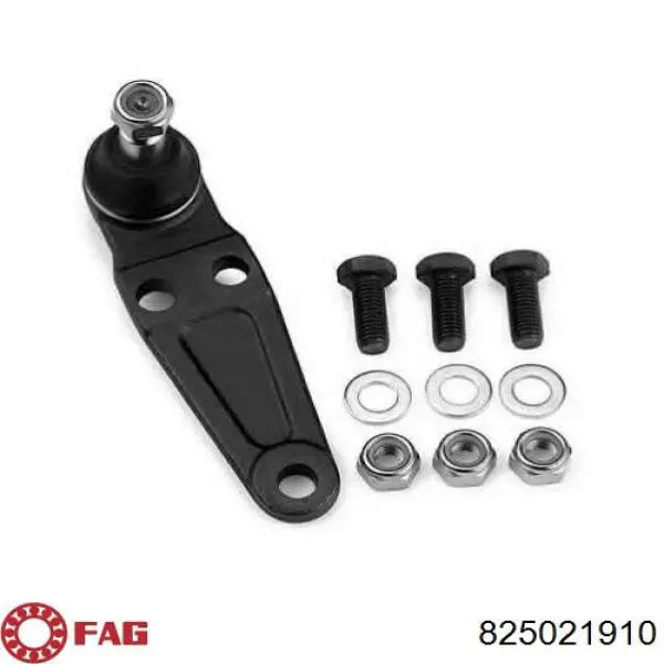 Купити 825021910 FAG Кульова опора, нижня