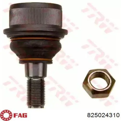 Купити 825024310 FAG Кульова опора, верхня