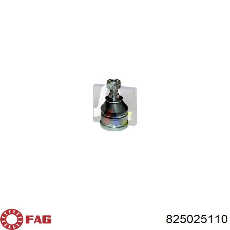Кульова опора, нижня FAG 825025110