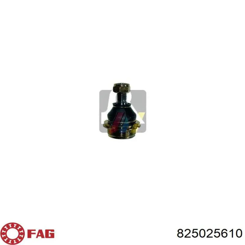 Купити 825025610 FAG Кульова опора, нижня