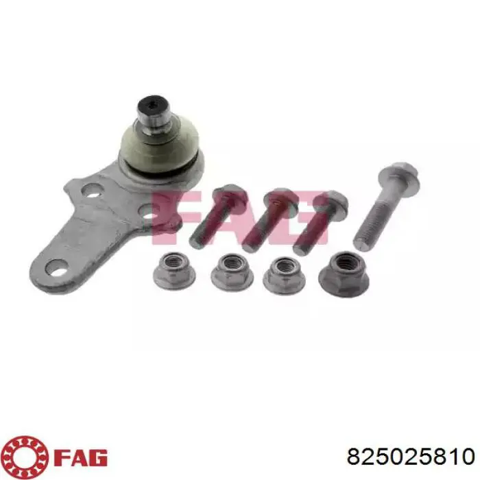Купити 825025810 FAG Кульова опора, нижня